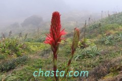 Volcan de la Soufrière