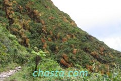 Volcan de la Soufrière
